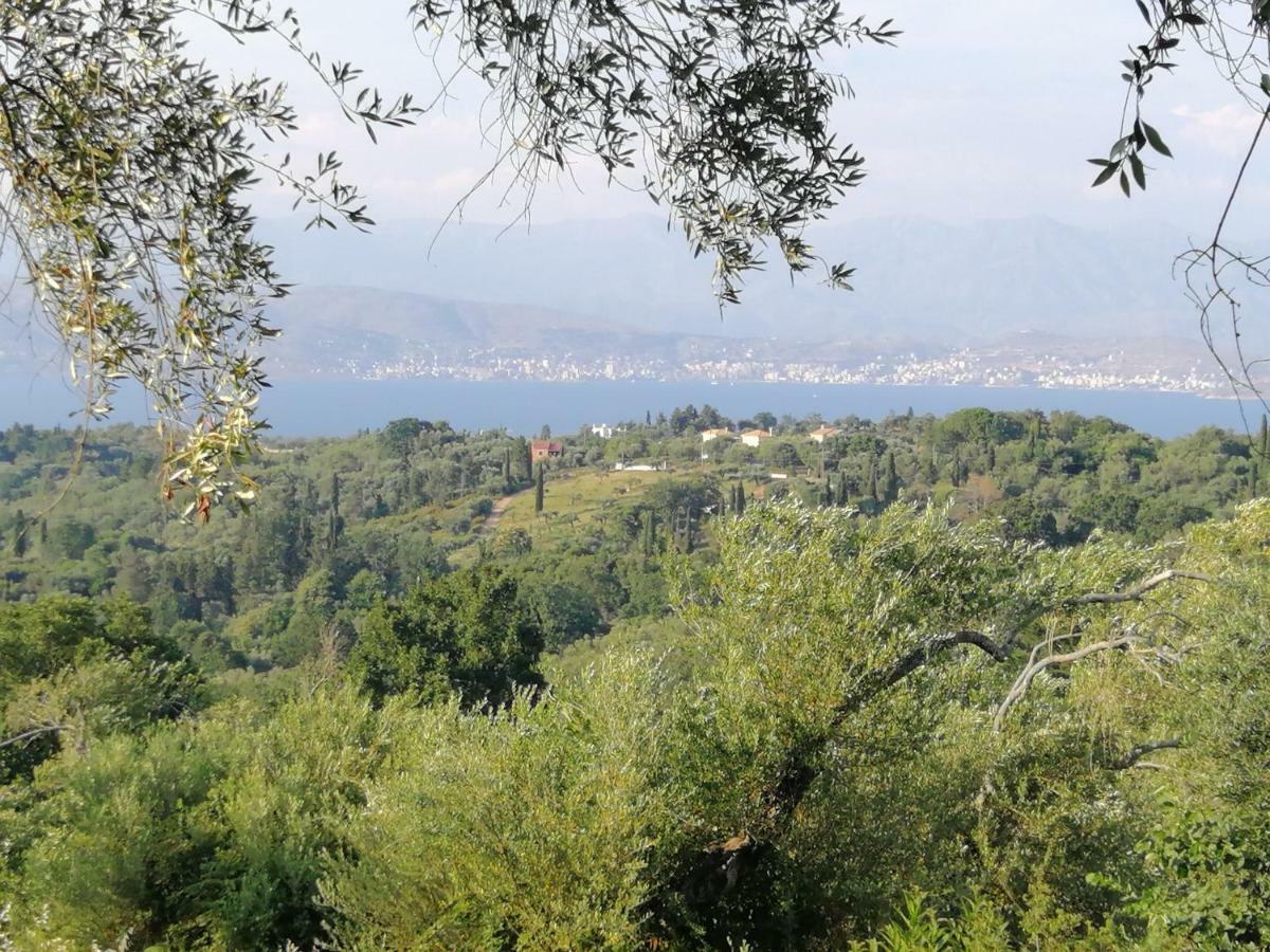 Olive Grove Deluxe Apartment Agnítsini Zewnętrze zdjęcie