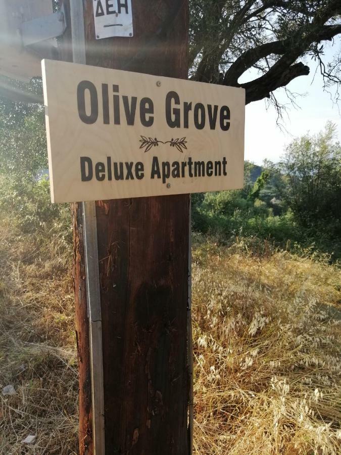 Olive Grove Deluxe Apartment Agnítsini Zewnętrze zdjęcie